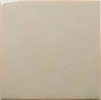 Fayenza Greige 5×5 Field Tile