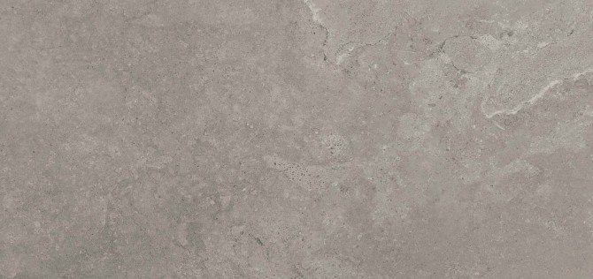 Chadwick Dark Gray 12×24 Field Tile