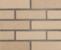 Thin Brick Williamstown 2×8 Field Tile
