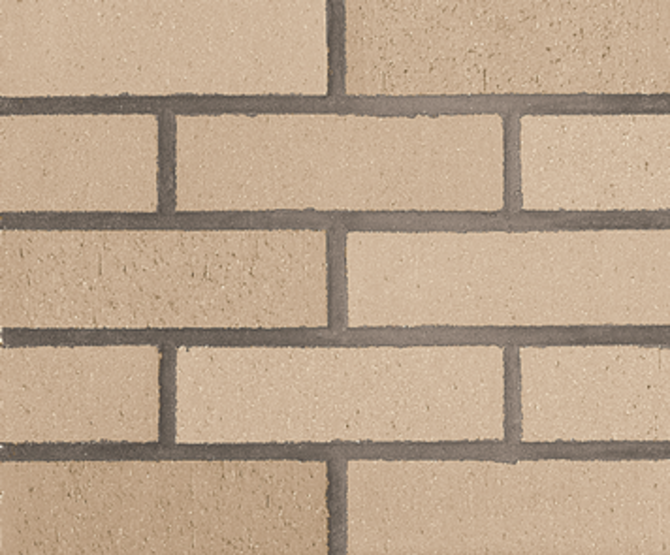 Thin Brick Williamstown 2×8 Field Tile