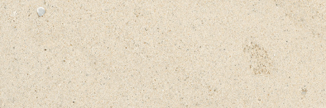 Volpino Beige 4×12 Field Tile Sand Polished Rectified