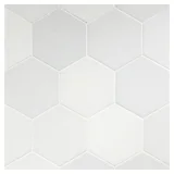 TrueTones Porcelain 16 Shades Of White Matte 5-1/2″ Hexagon