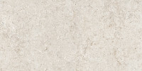 Sensi White Fossil 16×32 Field Tile R+PTV Rectified