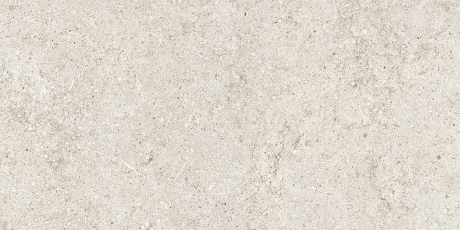 Sensi White Fossil 16×32 Field Tile R+PTV Rectified
