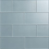 Astoria Gibson 6×12 Field Tile Silk