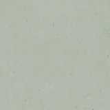 Argent 2.0 Silver Sage 12×12 Field Tile Rectified