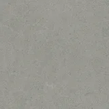 Argent 2.0 Grey Tabby 12×12 Field Tile Rectified
