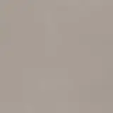 Neoconcrete Light Gray 24×24 Field Tile Light Polished Rectified