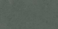 Argent 2.0 Enchanted Forest 12×24 Field Tile Rectified