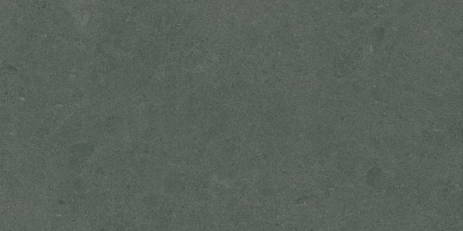 Argent 2.0 Enchanted Forest 12×24 Field Tile Rectified