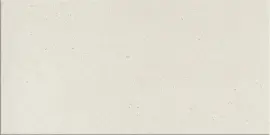 Oslo White 12×24 Field Tile Natural
