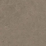 Argent 2.0 Concrete Jungle 12×12 Field Tile Rectified