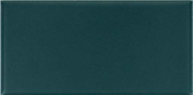 Color Complements Ireland 2×6 Radius Bullnose Matte