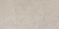 Gallery Light Gray 12×24 Field Tile Light Polished Rectified