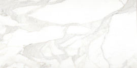 Calacatta 24×48 Field Tile Honed Rectified