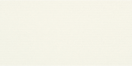 Retroactive 2.0 Snow Blind 6×12 Field Tile Patterned