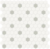 Nantucket Sage 1″ Hexagon with Insert Mosaic Matte