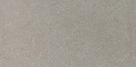 Neospeck Light Gray 12×24 Field Tile Light Polished Rectified Neospeck Light Gray 12×24 Field Tile Light Polished Rectified