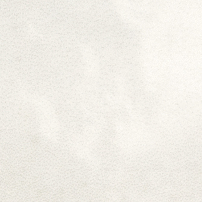Fiesta White 1×1 Accent Glossy Rectified
