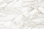 Raffino Calacatta Dolce 12×36 Field Tile Rectified