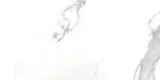 Classic Calacatta 12X24 Matte