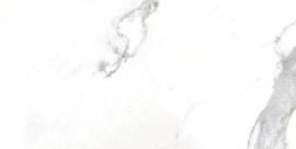 Classic Calacatta 12X24 Matte