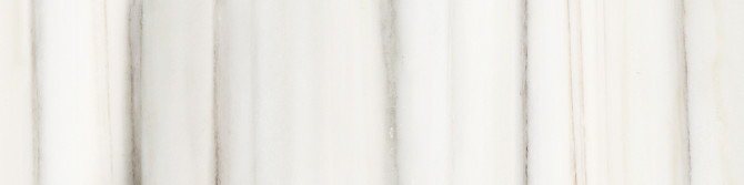 Caspar Zebrino 3×12 Bullnose Polished