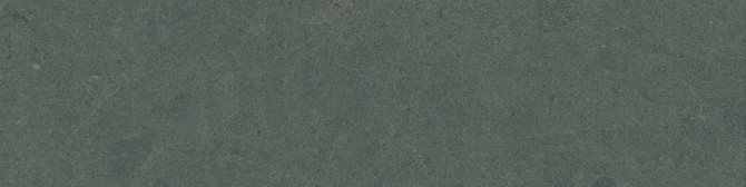 Argent 2.0 Enchanted Forest 6×24 Field Tile Rectified