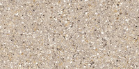 Phantom Brown 12×24 Field Tile Semi-Polished Rectified