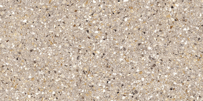 Phantom Brown 12×24 Field Tile Semi-Polished Rectified