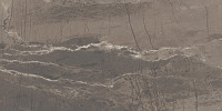 Absolute Brown 12×24 Field Tile