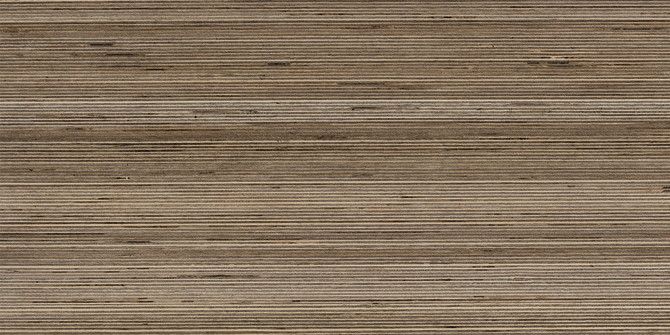 Shibusa Tortora 12×24 Field Tile Matte Rectified