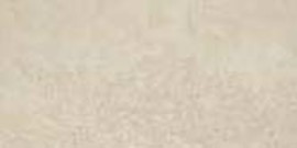 Historic Preserve Roman Beige 12×24 Field Tile Matte Rectified