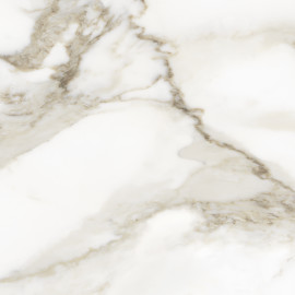 Gleam Calacatta 20×20 Field Tile Matte
