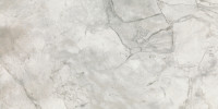Brookstone Silver 24×48 Field Tile Polished Rectified