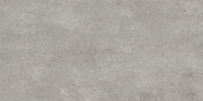 Sensi Grey Fossil 48×95 Field Tile Matte Rectified