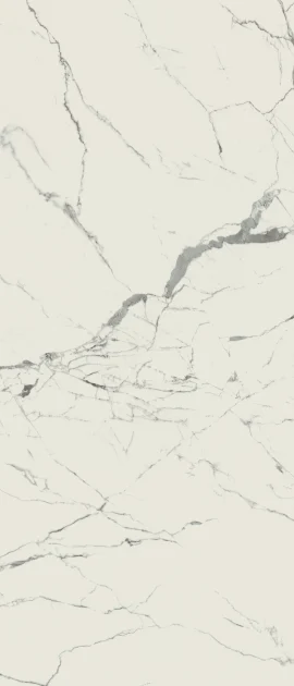 Valentina Statuario 48×110 Slab Polished Rectified
