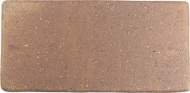 Roots Rust 4×9 Field Tile Matte