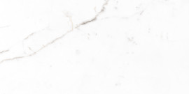 Jem Capriccio Grey 24×48 Field Tile Matte Rectified