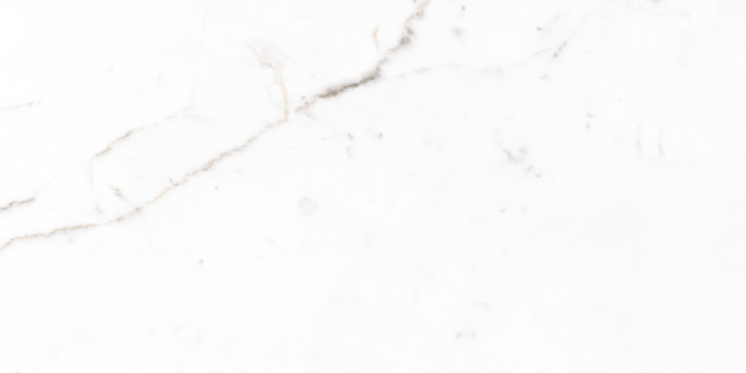 Jem Capriccio Grey 24×48 Field Tile Matte Rectified