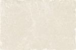 Pietra Di Ostuni Avorio 16×24 Field Tile Matte