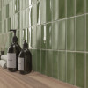 Skin Moss 2x5 Matte and Gloss