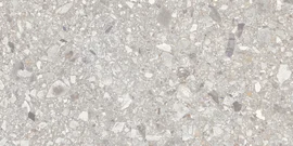 Santiago Light Gray 12×24 Field Tile Rectified