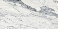 Majesto Calacatta Corchia 63×126 Slab Honed Rectified