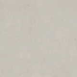 Lithoform Crosscut Coast 24×24 Field Tile Honed Rectified