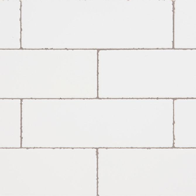 Color Variation Image