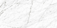 Marmo Carrara 12×24 Field Tile Polished