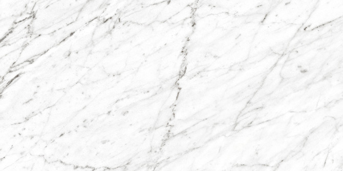 Marmo Carrara 12×24 Field Tile Polished