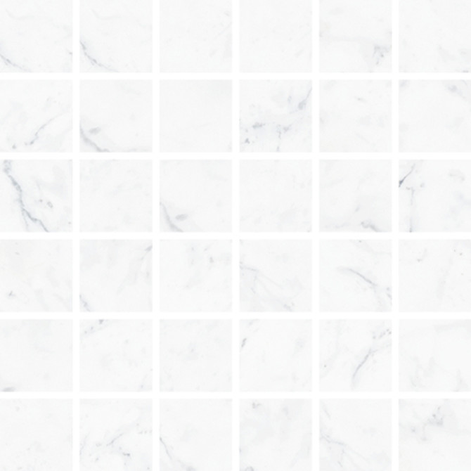 Carrara 2×2 Mosaic Honed Rectified