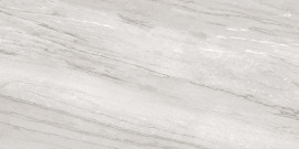 Epic Alaska Grey 12×24 Field Tile Polished rectified